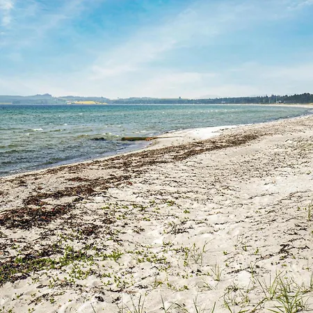 Feriehus Hus Med 3 Soveværelser Og Strandpromenade I Knebel Knebel